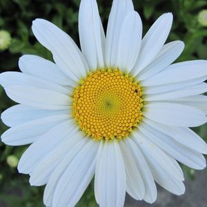 Meet your Posher, Beverley